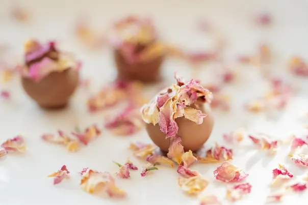 JokerBet Casino Εφαρμογή Android/iOS